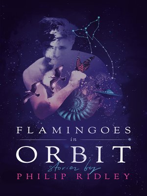 cover image of Flamingoes in Orbit